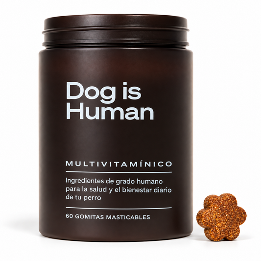DOG IS HUMAN